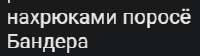 234x66