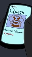 360x640
