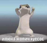 320x294