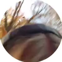 720x720