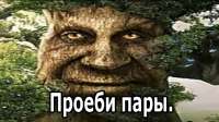 1280x720