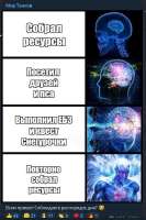 538x804