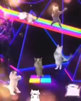460x574