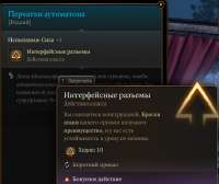 590x496