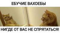 400x224