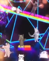 460x574