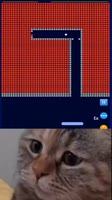 460x818