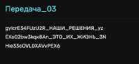 436x202