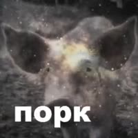 320x320