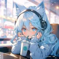 736x736