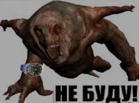 509x380