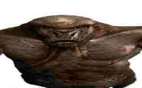 450x282