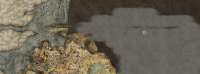 1402x522