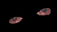 300x168