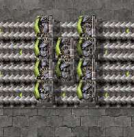 399x407