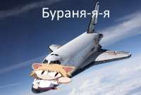 897x608