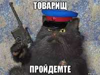 259x194