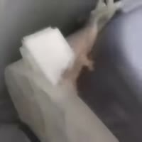 1080x1080
