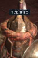 369x558