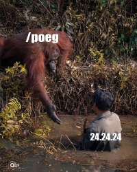 1080x1350