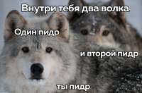 1280x850