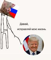 520x617