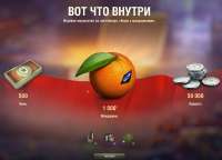 1360x981