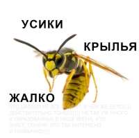 800x799