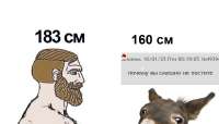 870x500