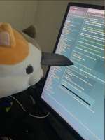 960x1280