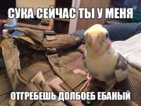 185