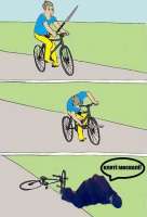 387x568