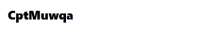 388x68