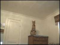 2044