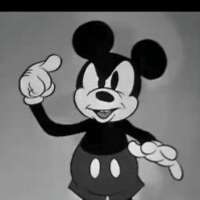 48