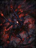 776x1029
