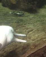 2779