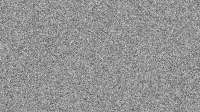 667