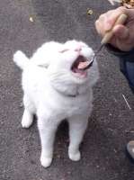 58