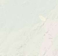 394