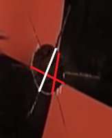 260x319