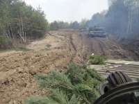 604x453