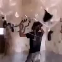 360x360