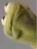 360x477