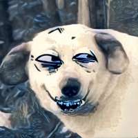 1080x1080