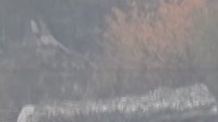 1280x720