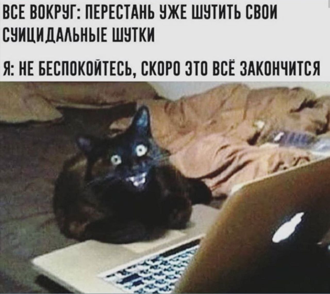 1280x1143