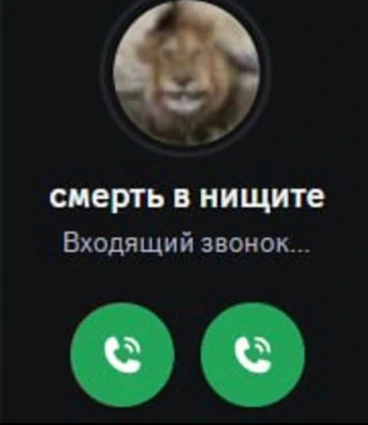 368x425