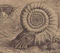 250x221