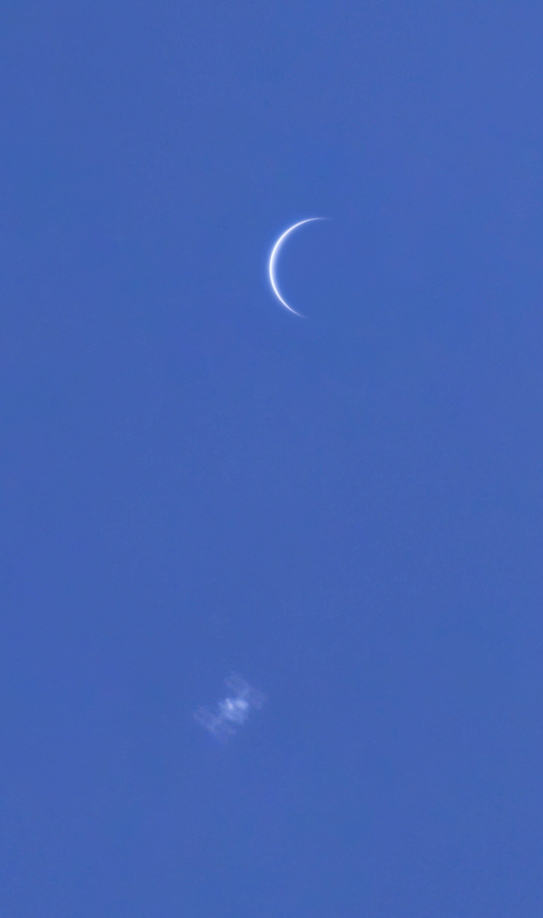 1801x3046